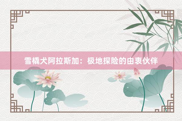 雪橇犬阿拉斯加：极地探险的由衷伙伴