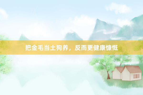 把金毛当土狗养，反而更健康慷慨