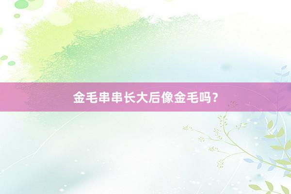 金毛串串长大后像金毛吗？