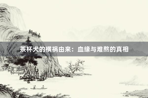 茶杯犬的横祸由来：血缘与难熬的真相