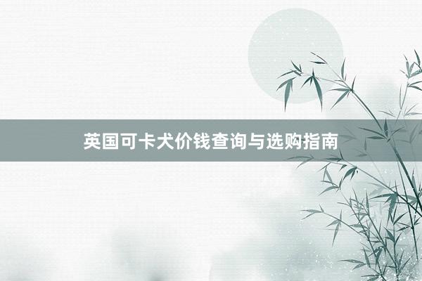 英国可卡犬价钱查询与选购指南