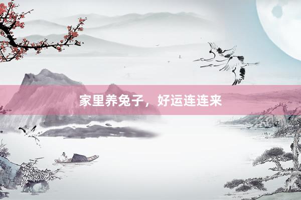 家里养兔子，好运连连来